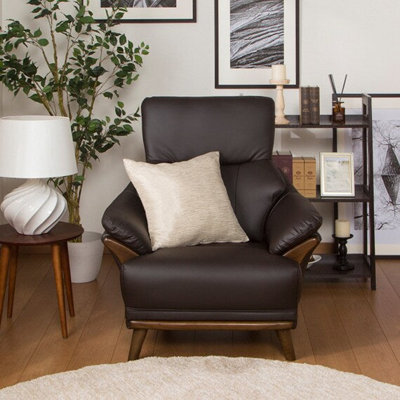 1S-SOFA N-SHIELD KOTEI 3-HD DBR