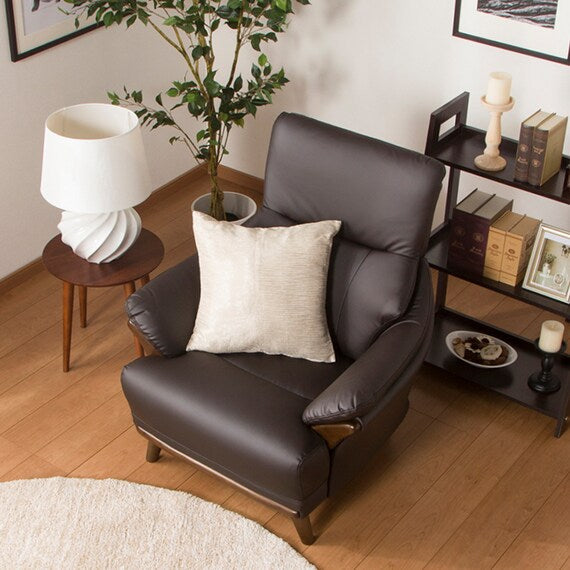 1S-SOFA N-SHIELD KOTEI 3-HD DBR