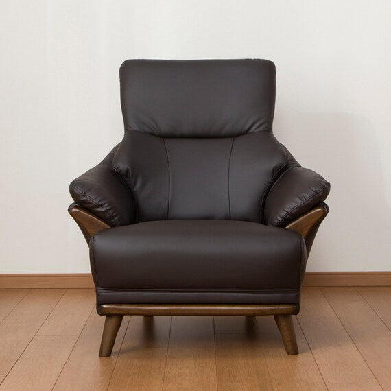 1S-SOFA N-SHIELD KOTEI 3-HD DBR