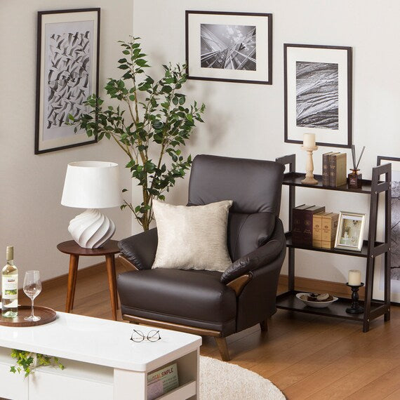 1S-SOFA N-SHIELD KOTEI 3-HD DBR