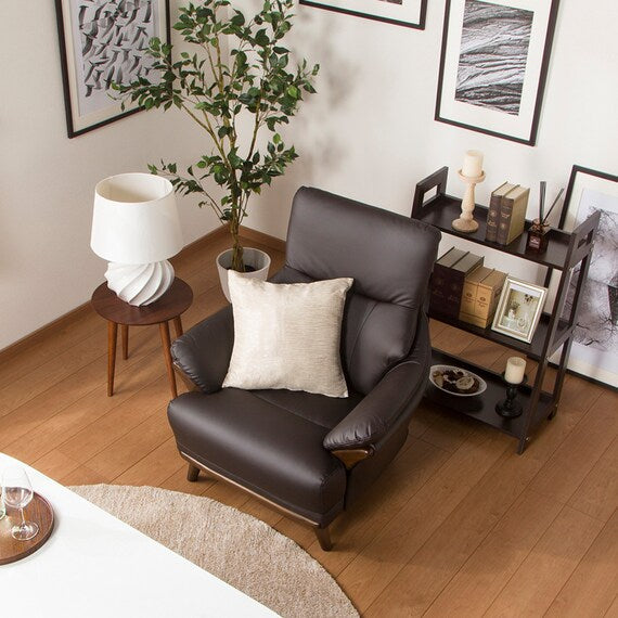 1S-SOFA N-SHIELD KOTEI 3-HD DBR