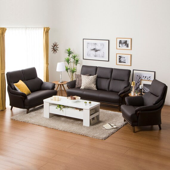 1S-SOFA N-SHIELD KOTEI 3-HD DBR