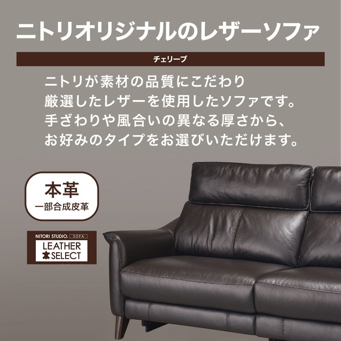 2P RA-Electric Sofa Cherryb SK GY