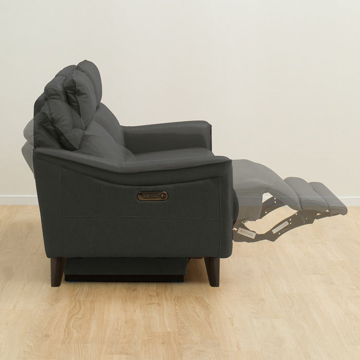 2P RA-Electric Sofa Cherryb SK GY