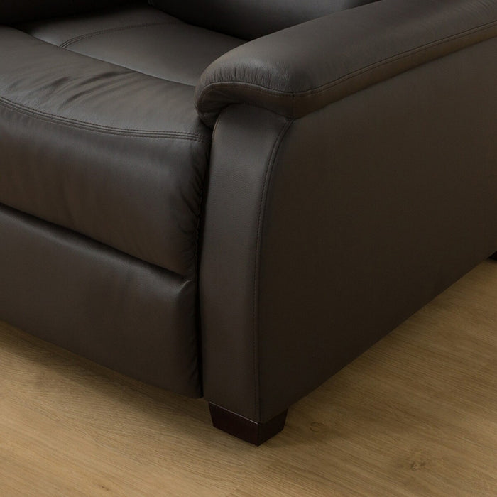 1P Electric Sofa N-Believa DBR 2-SZN116 Leather