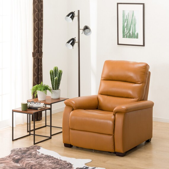 1 Seat Recliner Sofa N-Believa CA TK Leather