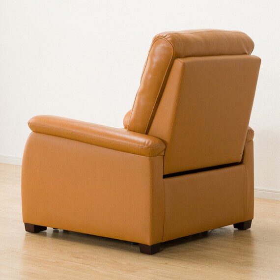 1 Seat Recliner Sofa N-Believa CA TK Leather