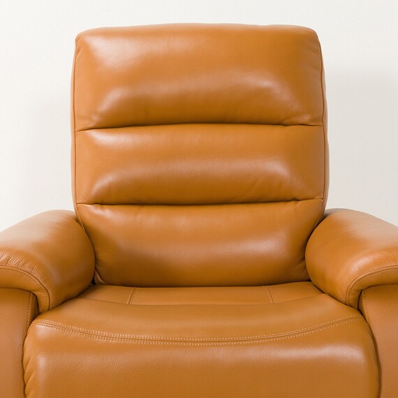 1 Seat Recliner Sofa N-Believa CA TK Leather