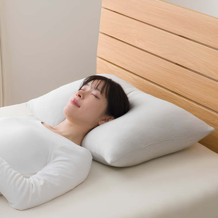 N COOL EXTREME COLD FLUFFY PILLOW P2523