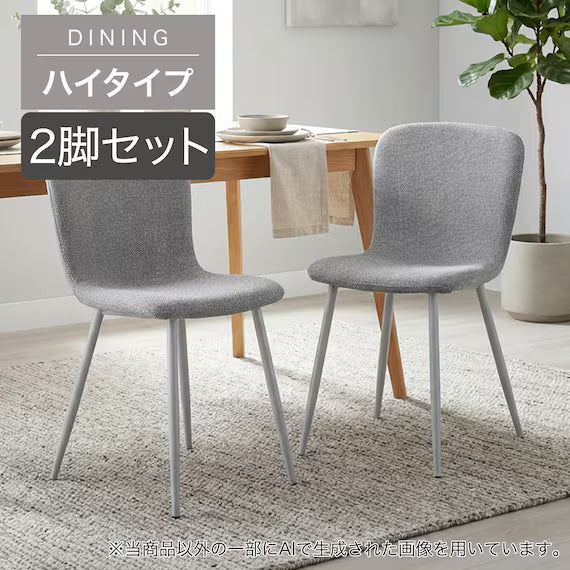 DINING CHAIR 2PCS FY101-2 GY/LGY