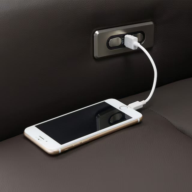 2 MOTOR ELECTRIC PERSONAL CHAIR LE01-2 DBR