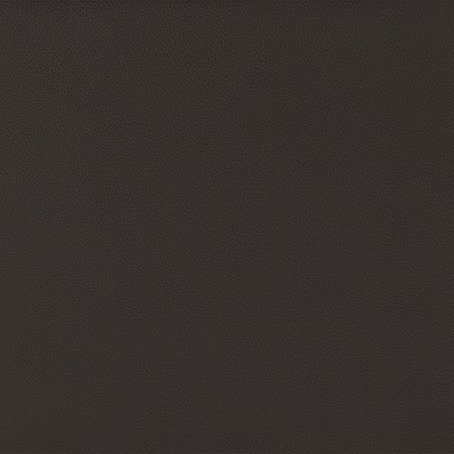 2 MOTOR ELECTRIC PERSONAL CHAIR LE01-2 DBR