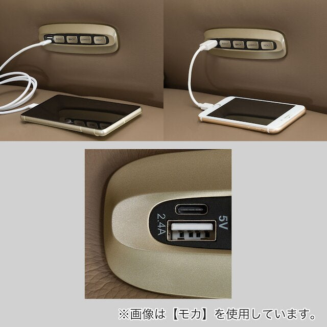 4 MOTOR ELECTRIC PERSONAL CHAIR LE01-2 DBR