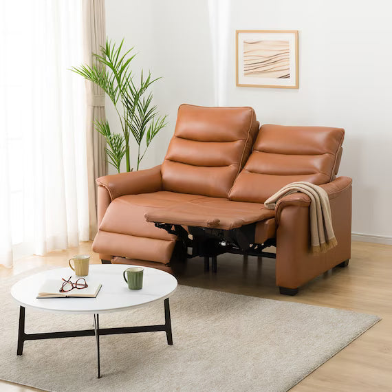 2P ELECTRIC SOFA N-BELIEVA 3 TK-LEATHER DBR