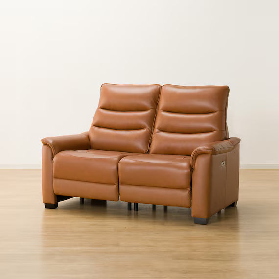 2P ELECTRIC SOFA N-BELIEVA 3 TK-LEATHER DBR