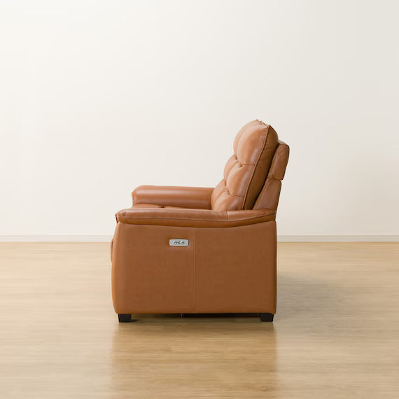 2P ELECTRIC SOFA N-BELIEVA 3 TK-LEATHER DBR
