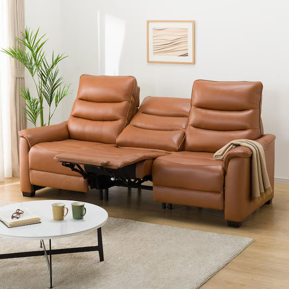 3P ELECTRIC SOFA N-BELIEVA 3 TK-LEATHER DBR
