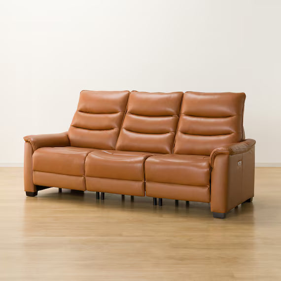 3P ELECTRIC SOFA N-BELIEVA 3 TK-LEATHER DBR