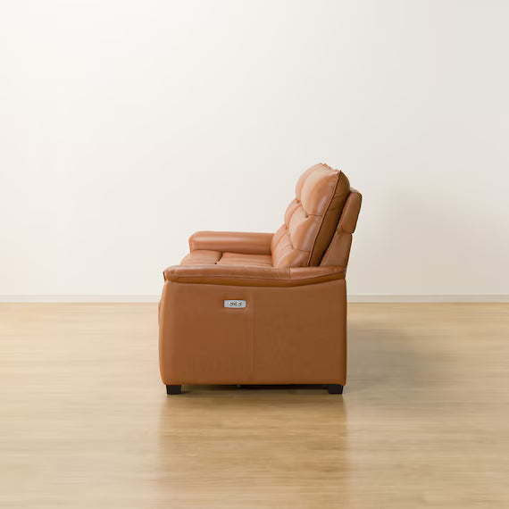 3P ELECTRIC SOFA N-BELIEVA 3 TK-LEATHER DBR