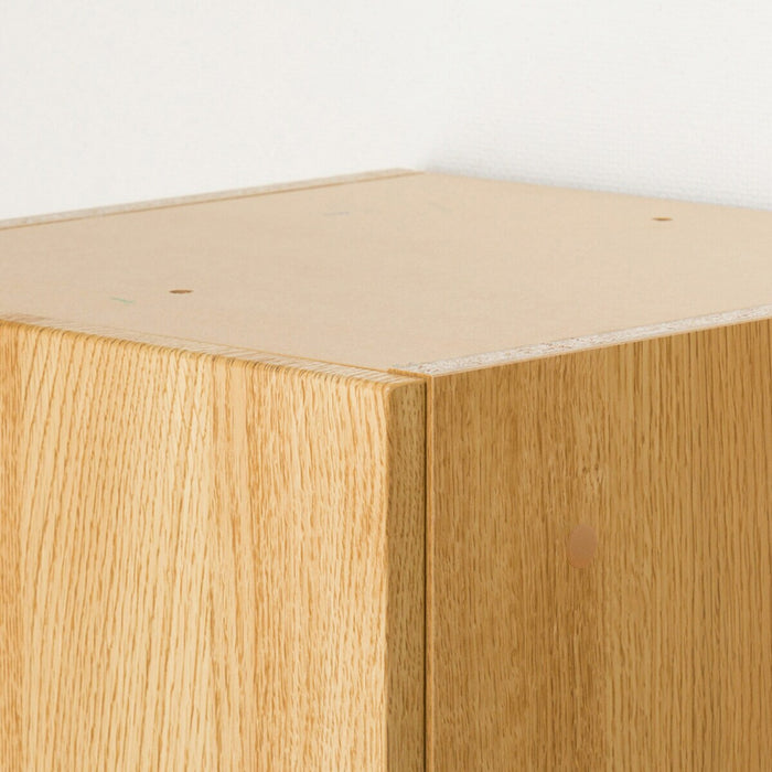 CABINET PORTE 40DD-L LBR 2