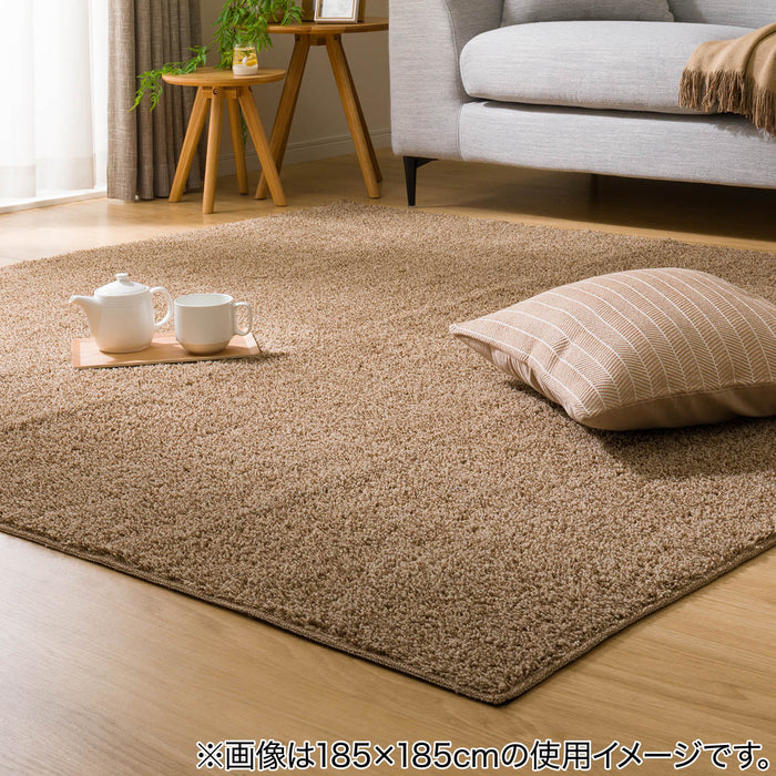 RUG N-CLEAN WASH BE 200X240