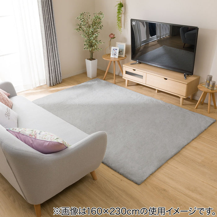 USAGI RUG 3 200X200 LGY US02