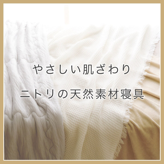 BLANKET ORGANIC COTTON S BE T01