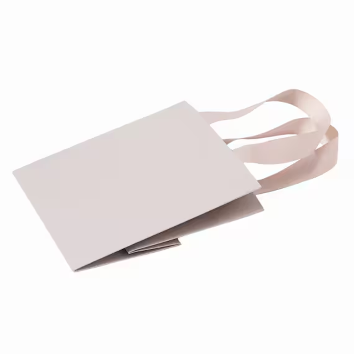 PAPER BAG WITH HANDLE SE MO S