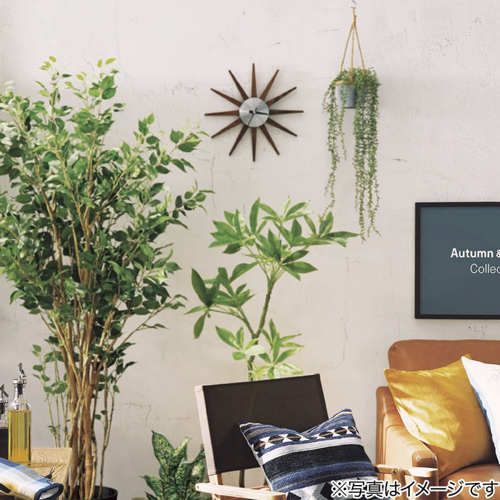 Wall Clock Centre SW