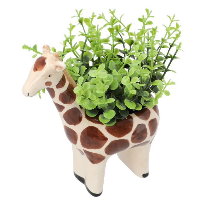 OREGANO  IN ANIMAL POT GIRAFF