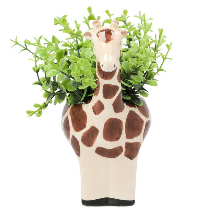 OREGANO  IN ANIMAL POT GIRAFF
