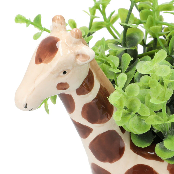OREGANO  IN ANIMAL POT GIRAFF