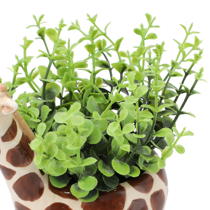 OREGANO  IN ANIMAL POT GIRAFF