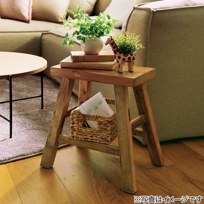 OREGANO  IN ANIMAL POT GIRAFF