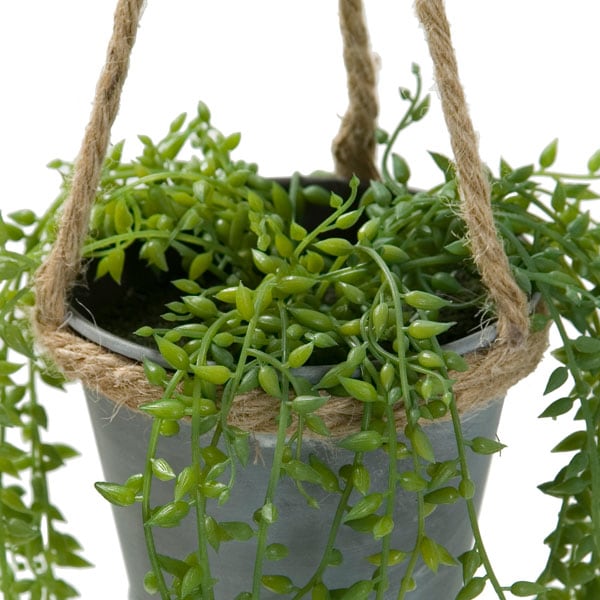 Mini Leaves In Iron Pot with Hemp Rope Hanging HA31956GN