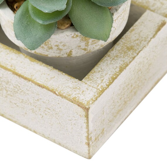 3-PCS SUCCULENT WITH TRAY HA34315GN