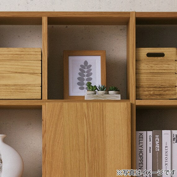 3-PCS SUCCULENT WITH TRAY HA34315GN