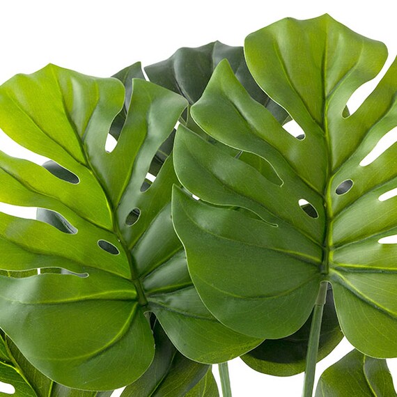 60CM Monstera in Cement Pot HA47139GN