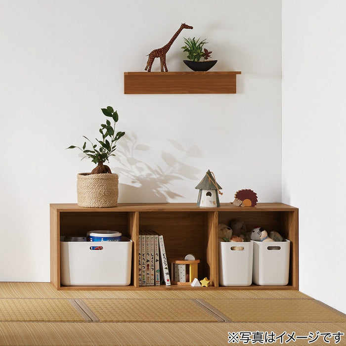 18CM  ASST  LEAF   W/62LVS  (W/CERAMIC POT) F235-S557/8399NT