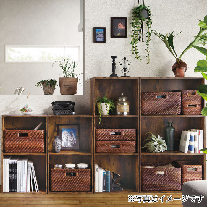 BASKET RIDE 2 REGULAR NA