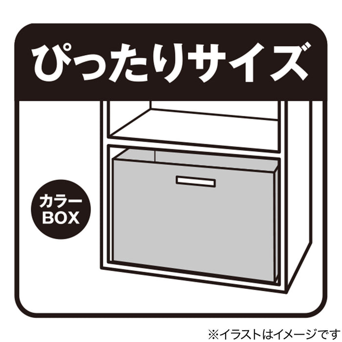 BASKET RIDE 2 REGULAR NA