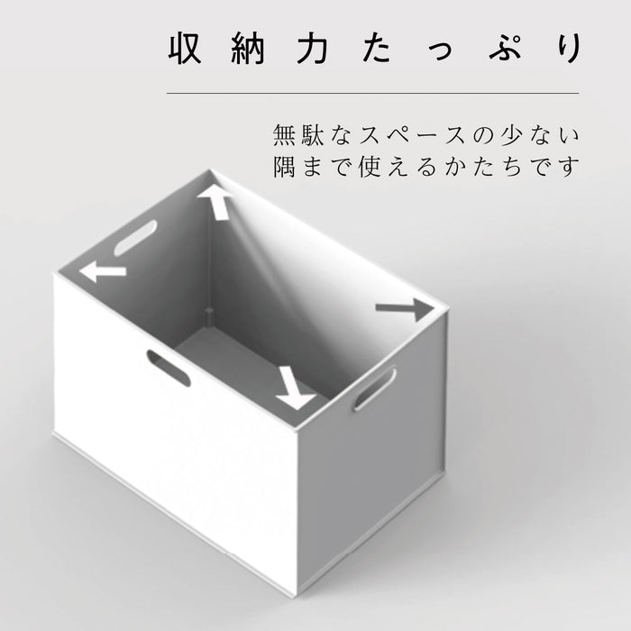 N-Inbox (W) Reg GY