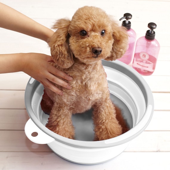 12L Foldable Washbasin LGY