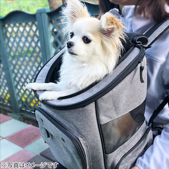PET CARRY BT-P098B