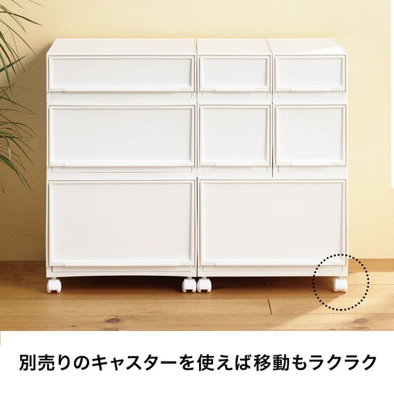 Multi-Purpose Plastic Storage L