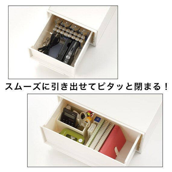 Multi-Purpose Plastic Storage L