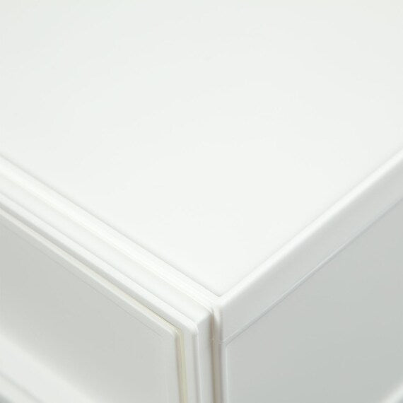 Multi-Purpose Plastic Storage L