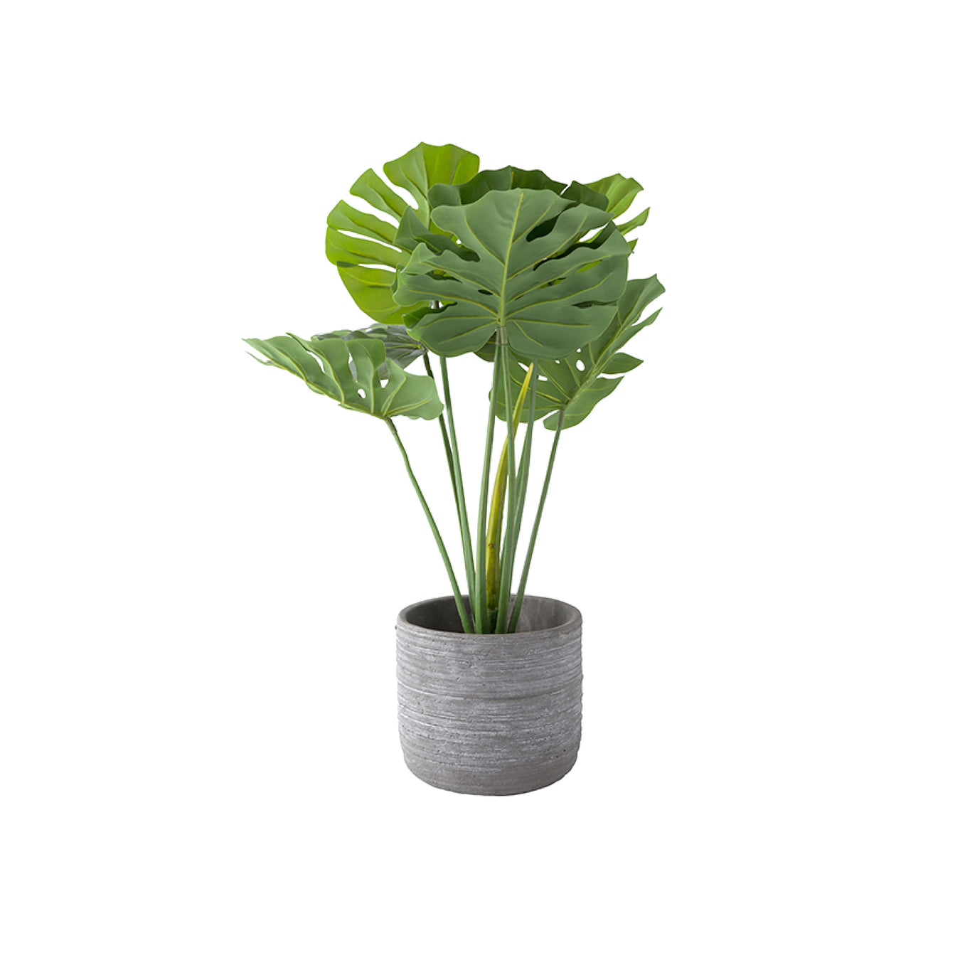 Green Home
