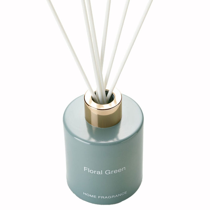 AROMA DIFFUSER FN 24006-2 GR