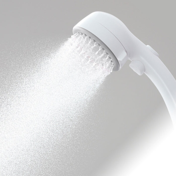 MIST STOP SHOWER HEAD FACIAL CLEANSING PS3062-80XA-H45